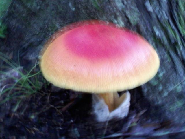 vcm_s_kf_repr_832x624.jpg